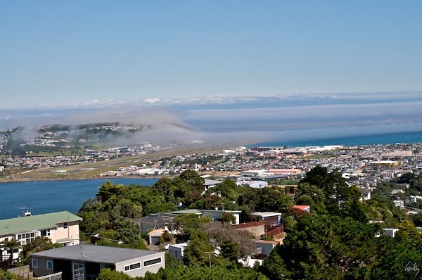 New Zealand 09 10  140